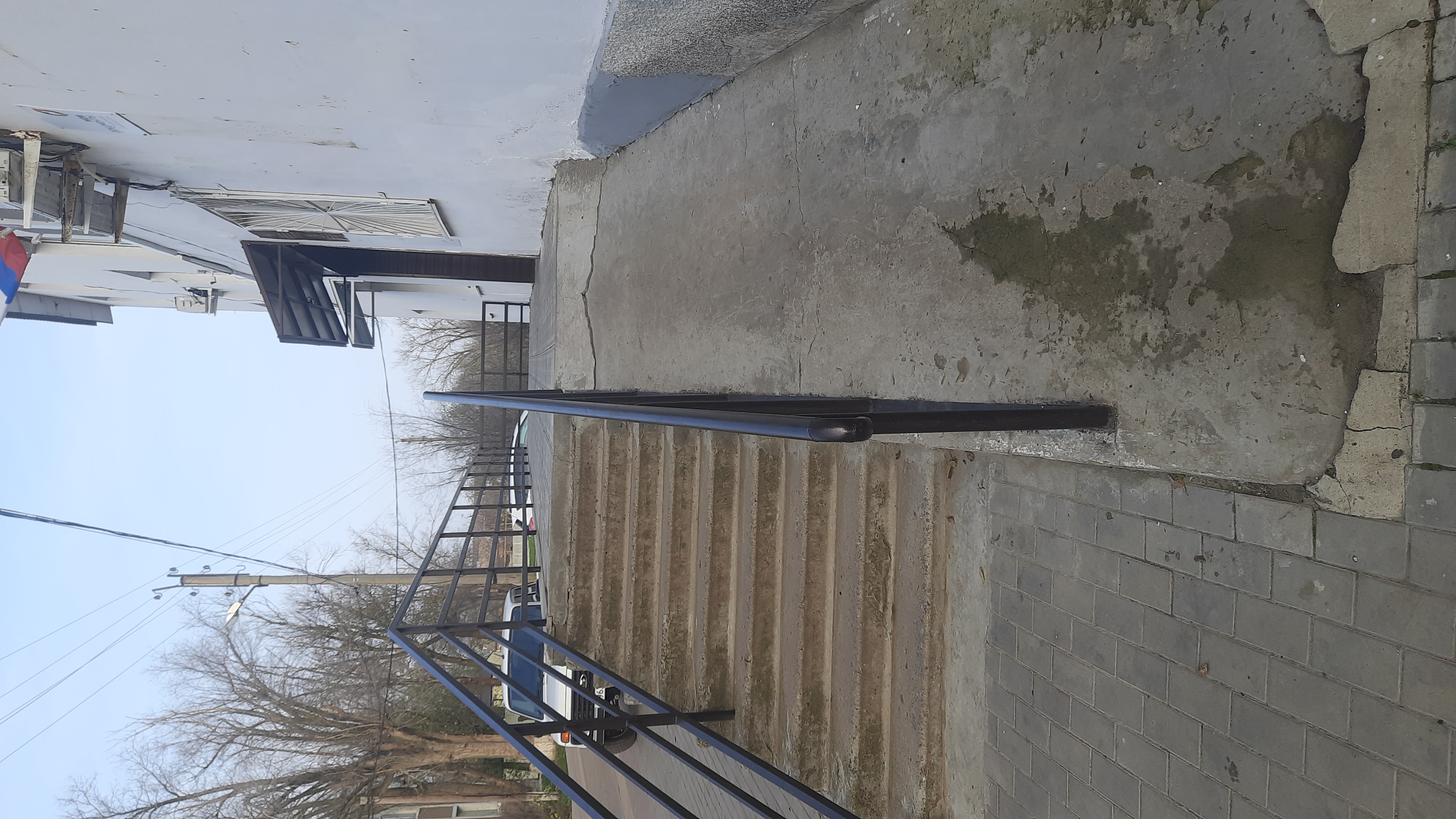 20251127_092124.jpg